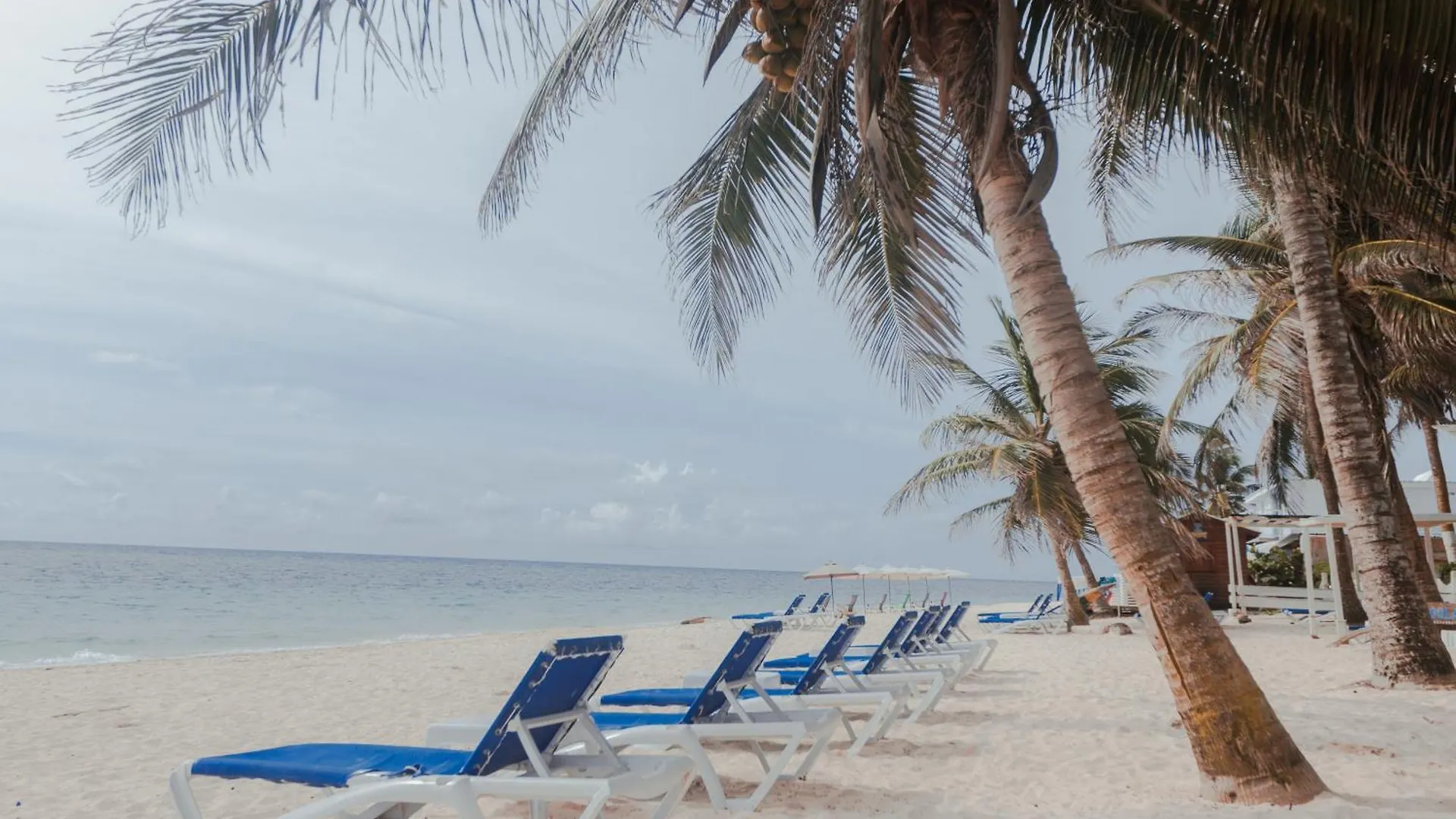 Hotel San Luis Beach House San Andres